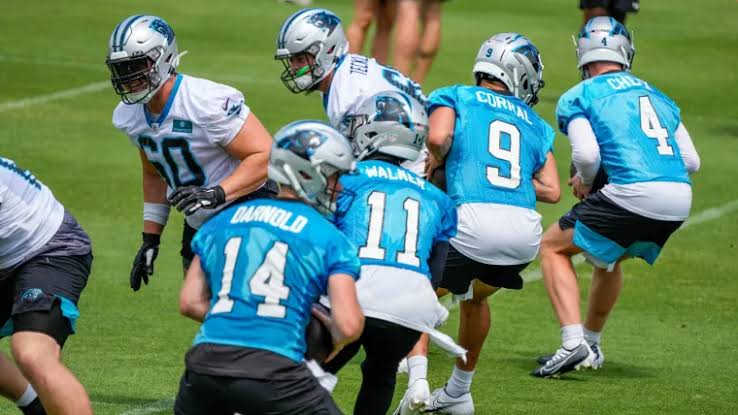 From Carolina to Canada: Former Panthers Quarterback Ignites NFL Comeback Dream Through CFL Resurrection